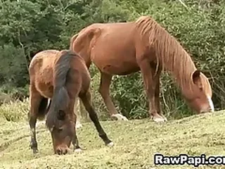 Gay Sex 1